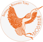 Biodanza - Dance with Life