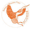 Biodanza - Dance with life